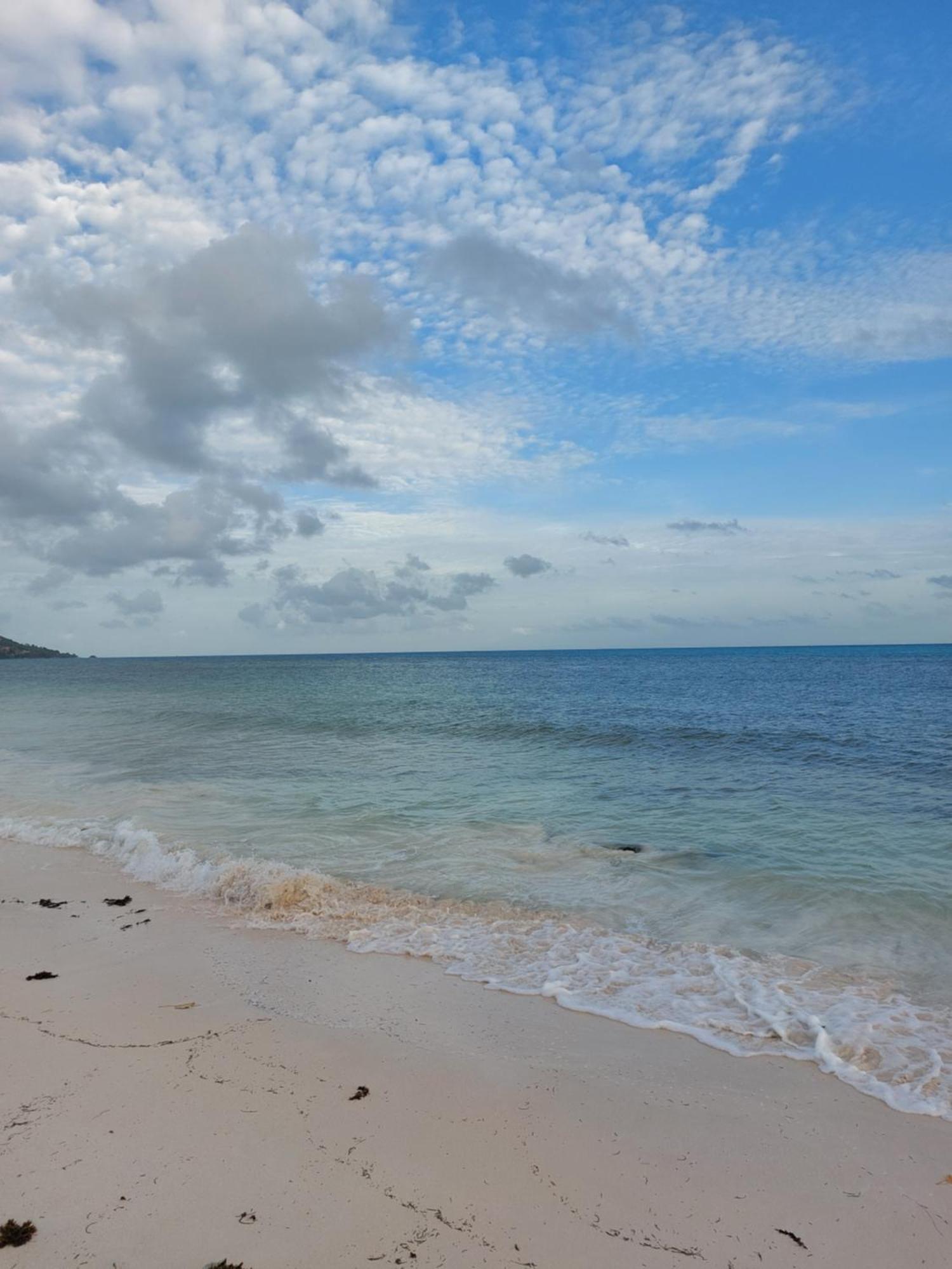Blue Sky Self Catering Leilighet Grand Anse  Eksteriør bilde