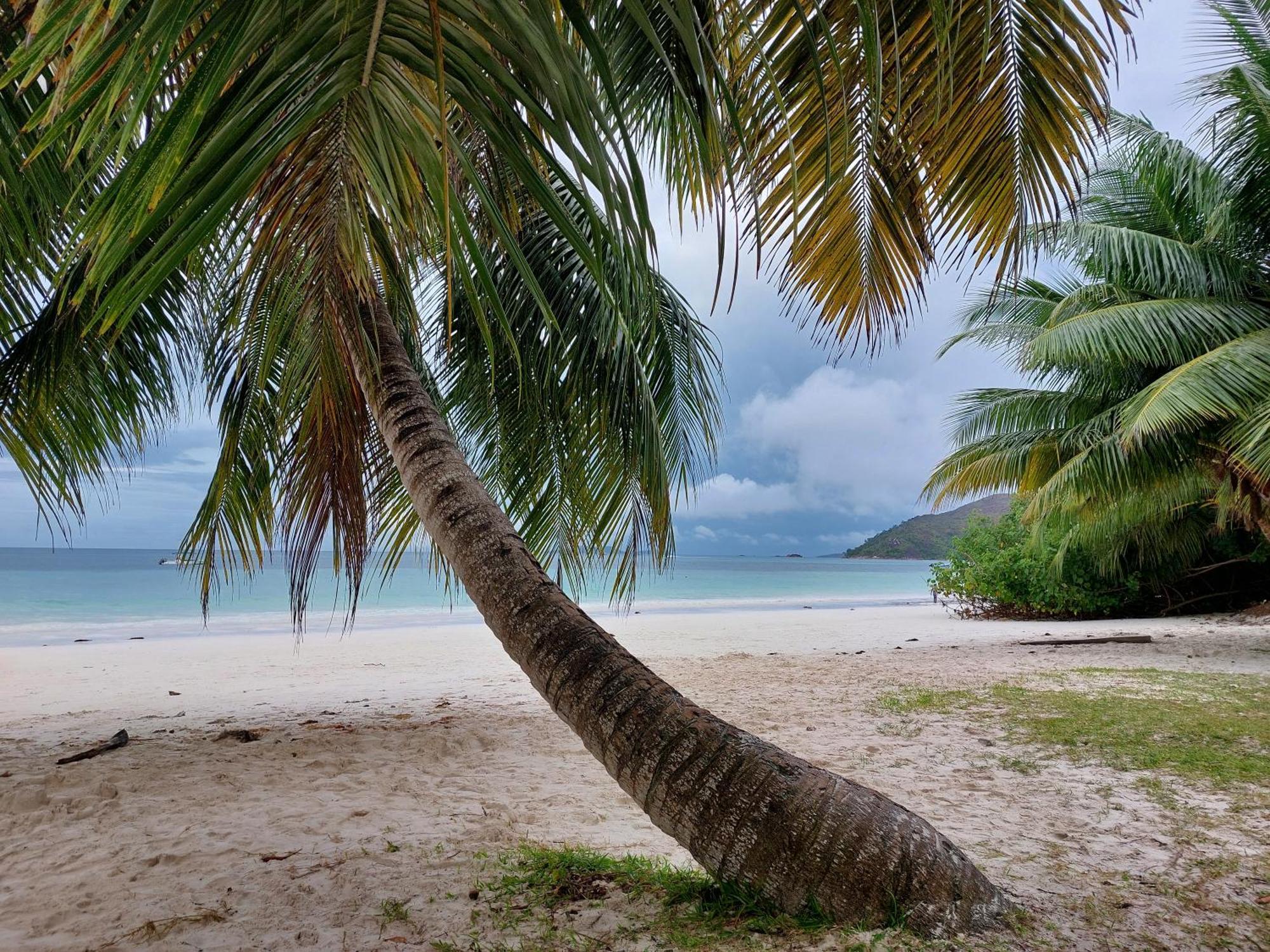Blue Sky Self Catering Leilighet Grand Anse  Eksteriør bilde